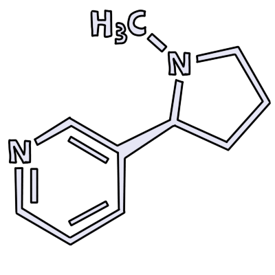 a light grey nicotine molecule